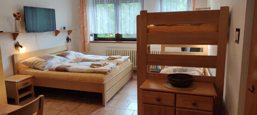 U Machacku - Lipno Apartment Lipno nad Vltavou Ngoại thất bức ảnh