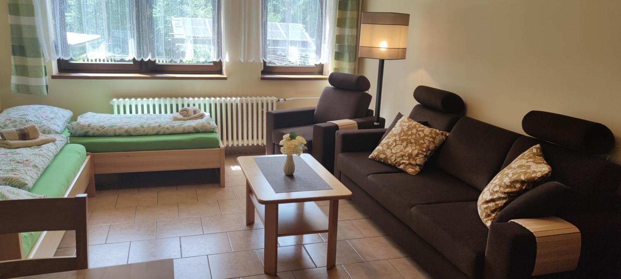 U Machacku - Lipno Apartment Lipno nad Vltavou Ngoại thất bức ảnh