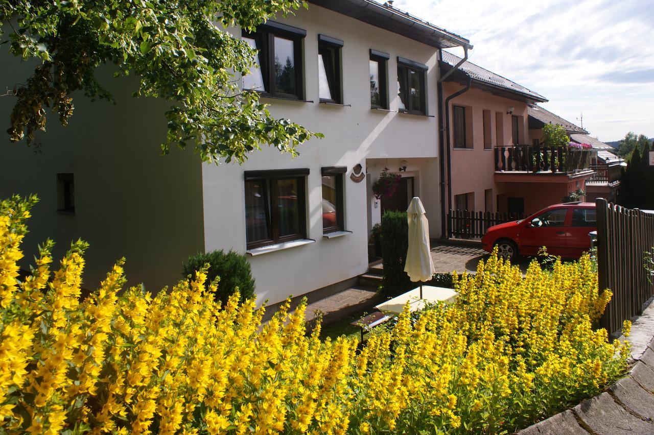 U Machacku - Lipno Apartment Lipno nad Vltavou Ngoại thất bức ảnh